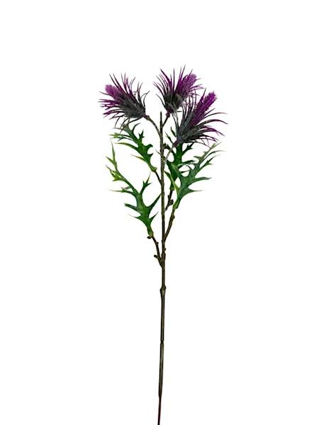 Oset gałązka 46 cm purpurowy