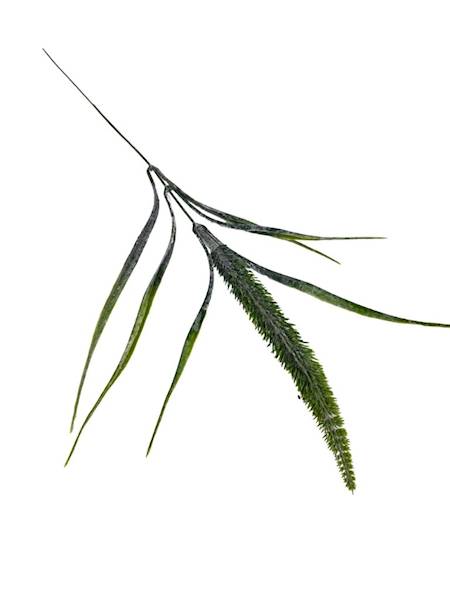 Trawa gałązka 50 cm zielona