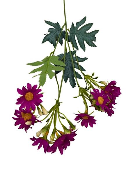 Margaretka gałązka 53 cm fuksja