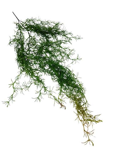 Tilancja zwis 100 cm zielona