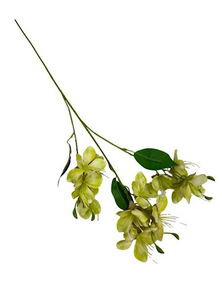 Jabłoń gałązka 70 cm zielona