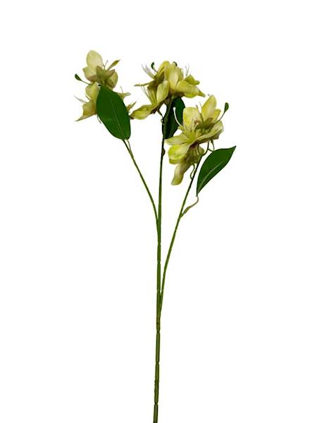 Jabłoń gałązka 70 cm zielona