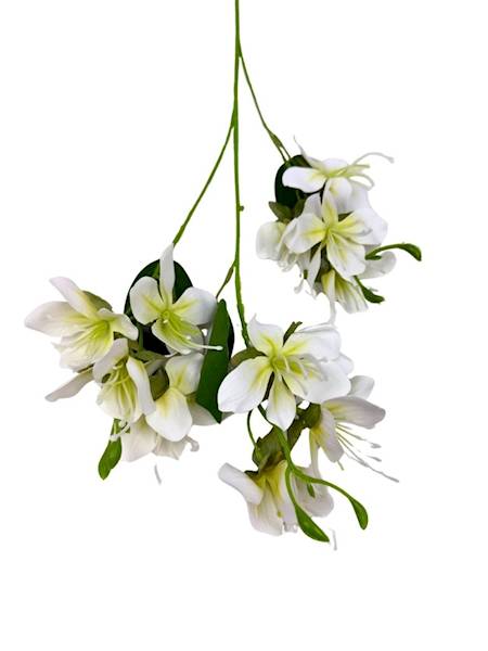 Jabłoń gałązka 70 cm biała