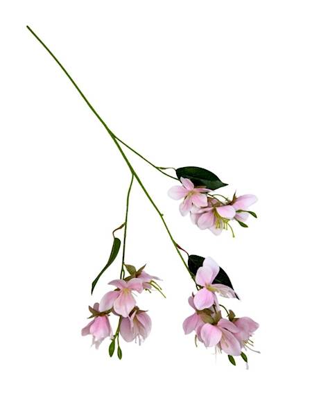 Jabłoń gałązka 70 cm delikatny róż