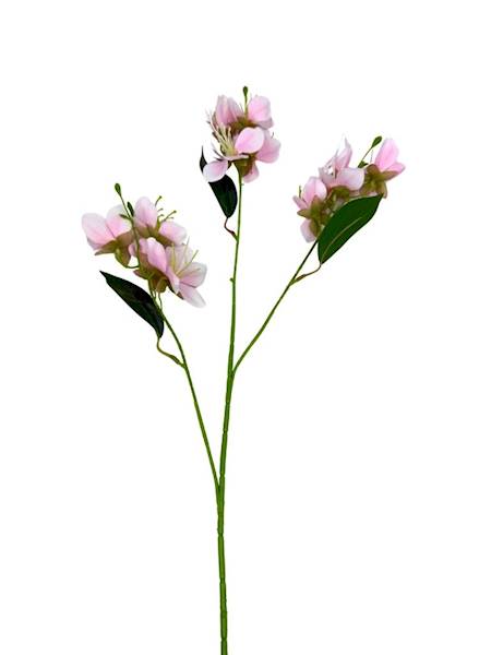 Jabłoń gałązka 70 cm delikatny róż