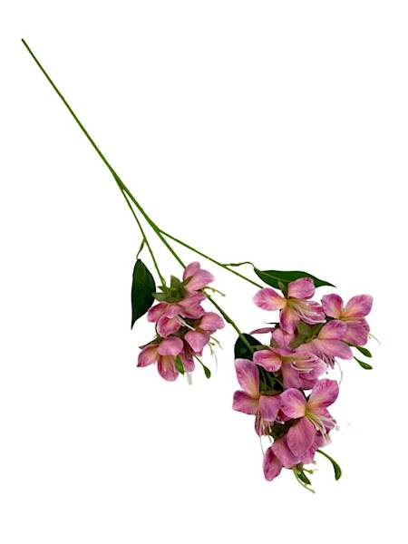 Jabłoń gałązka 70 cm brudny róż