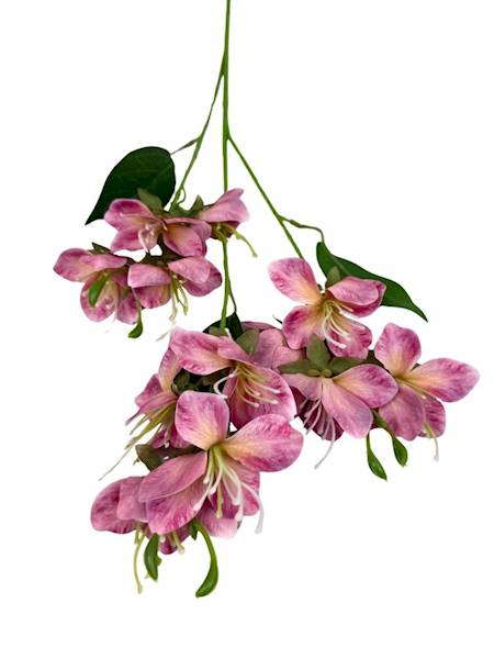 Jabłoń gałązka 70 cm brudny róż