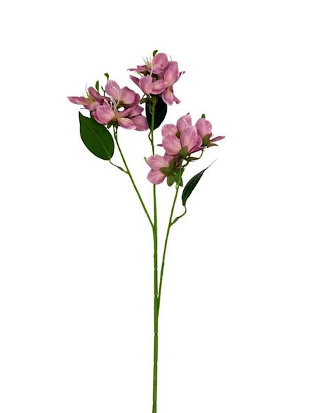 Jabłoń gałązka 70 cm brudny róż