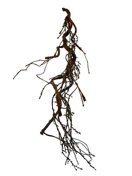 Korzeń brązowy omszony 110 cm