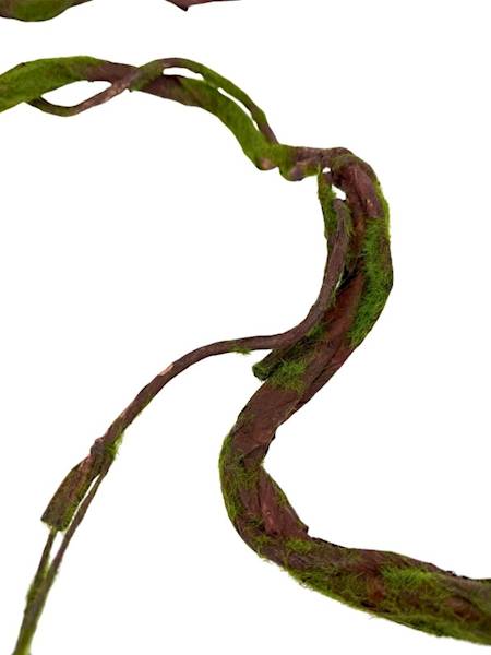 Korzeń brązowy omszony 150 cm