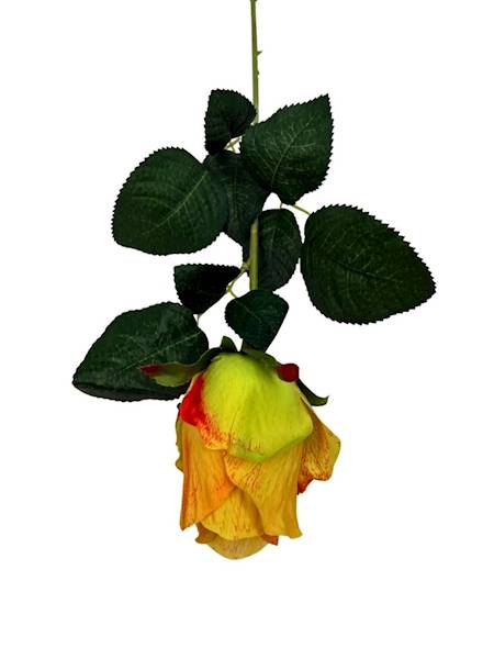 Róża gałązka 52 cm żółta