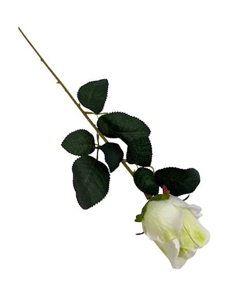 Róża gałązka 52 cm kremowo zielona