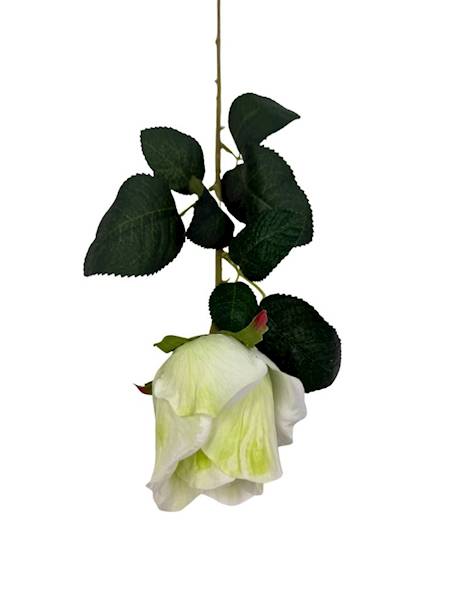 Róża gałązka 52 cm kremowo zielona