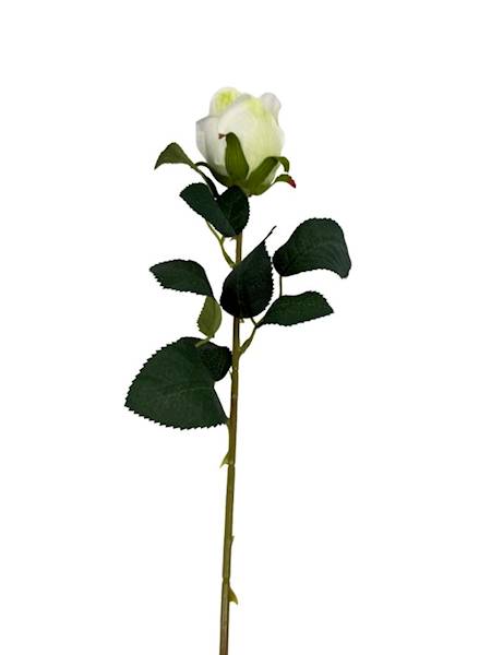 Róża gałązka 52 cm kremowo zielona