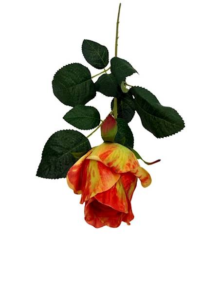 Róża gałązka 52 cm herbaciana