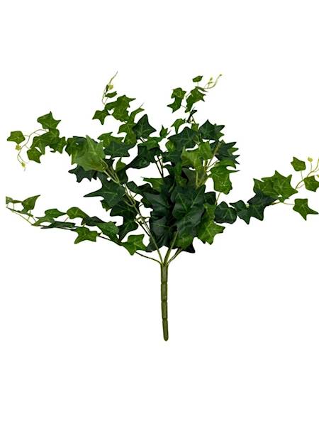 Bukiet bluszcza 60 cm