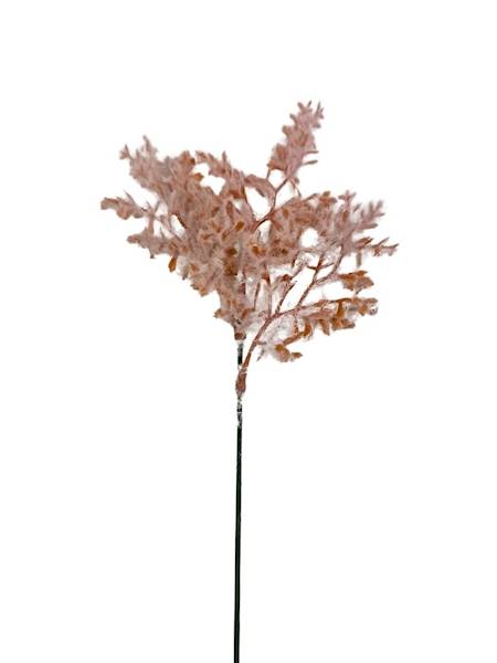 Pik trawa omszona 41 cm jasny brąz