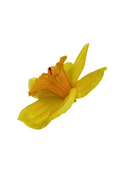 Żonkil główka 12 cm żółty