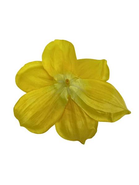 Żonkil główka 12 cm żółty