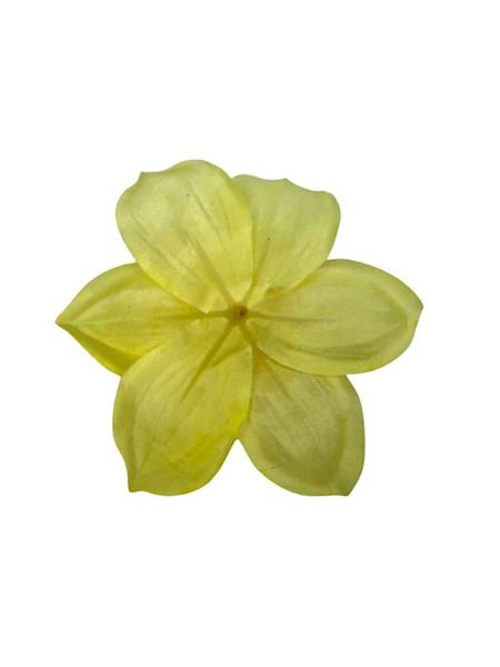 Żonkil główka 12 cm jasno żółty