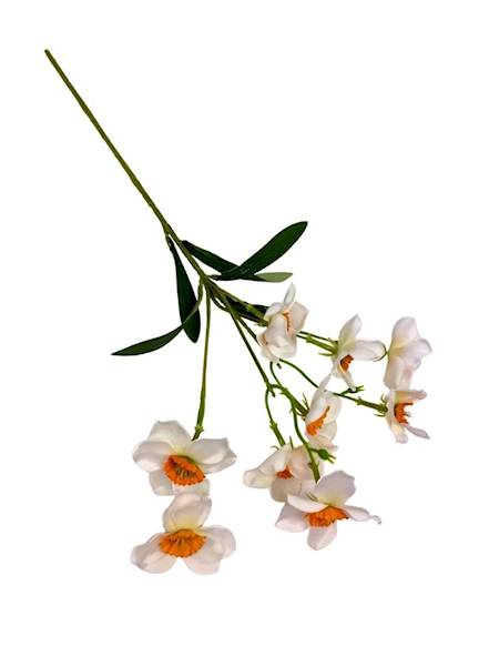 Żonkil narcyz gałązka 48 cm biało pomarańczowy