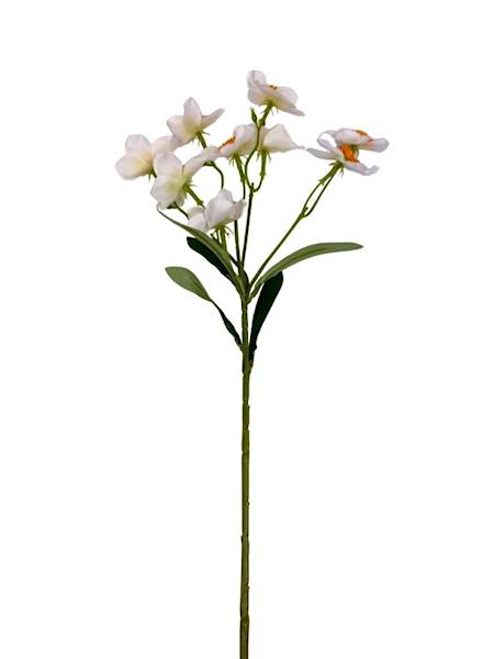 Żonkil narcyz gałązka 48 cm biało pomarańczowy