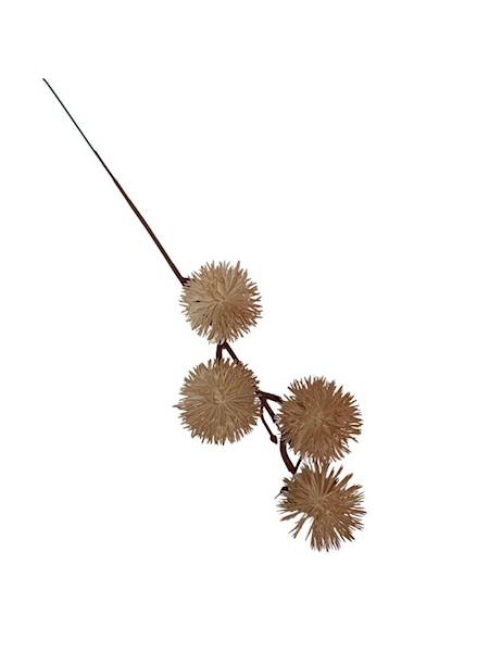 Oset gałązka 28 cm jasny brąz