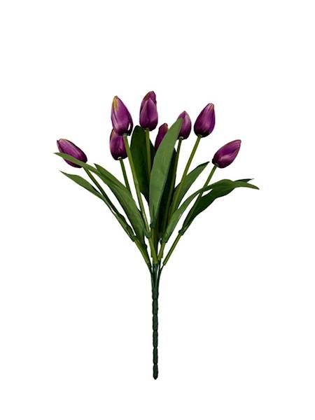 Bukiet 9 tulipanów 40 cm purpurowy