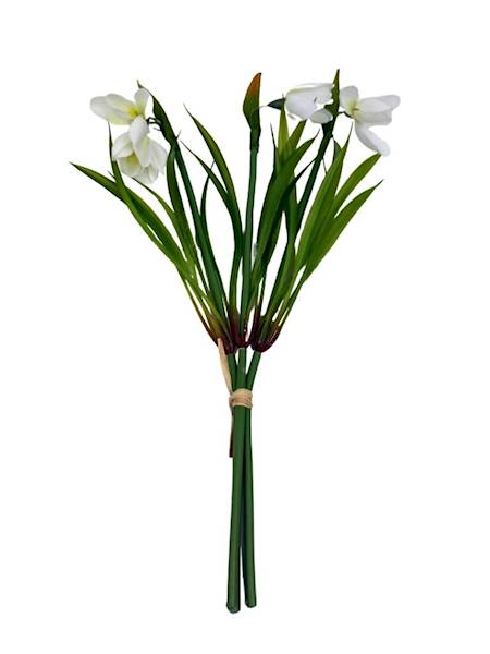 Przebiśniegi wiązka 27 cm 