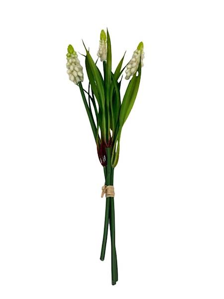 Szafirki wiązka 27 cm kremowe