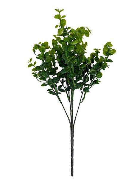 Bukszpan bukiet 34 cm 