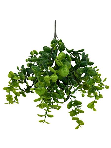 Bukszpan bukiet 34 cm 