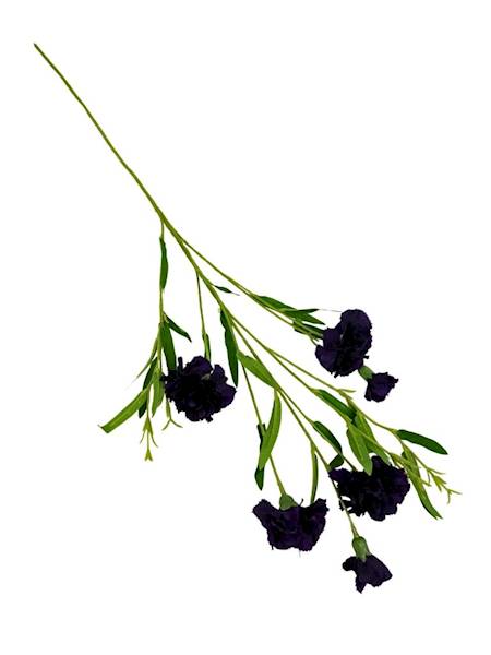 Goździk gałązka 73 cm ciemny fiolet