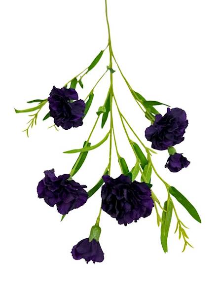 Goździk gałązka 73 cm ciemny fiolet