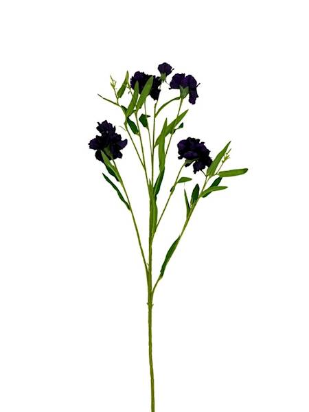 Goździk gałązka 73 cm ciemny fiolet