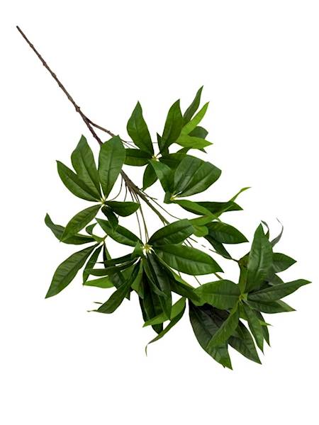 Pachira wodna gałązka 95 cm