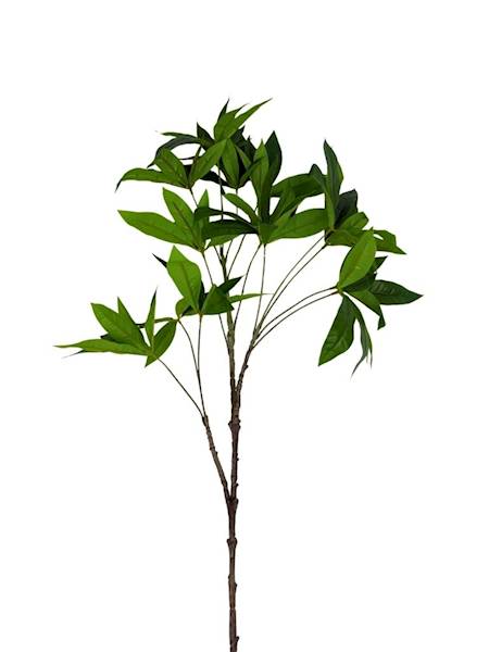 Pachira wodna gałązka 95 cm