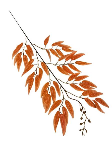 Ruskus gałązka 63 cm pomarańczowy