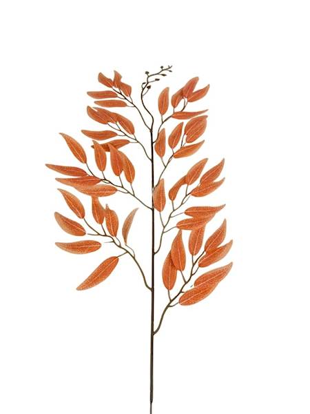 Ruskus gałązka 63 cm pomarańczowy