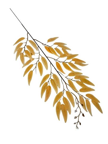 Ruskus gałązka 63 cm żółty