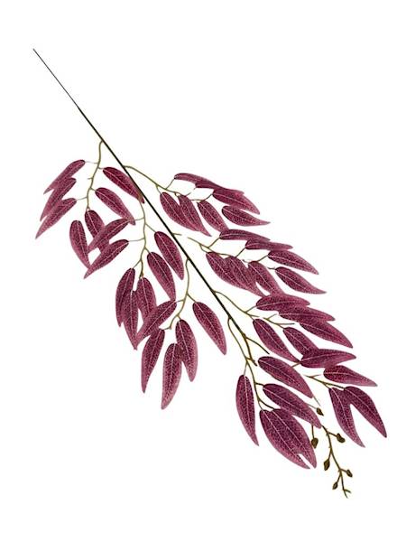 Ruskus gałązka 63 cm bordowy