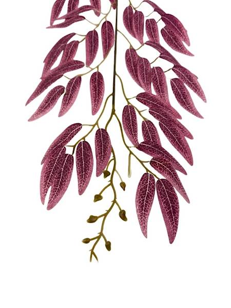 Ruskus gałązka 63 cm bordowy