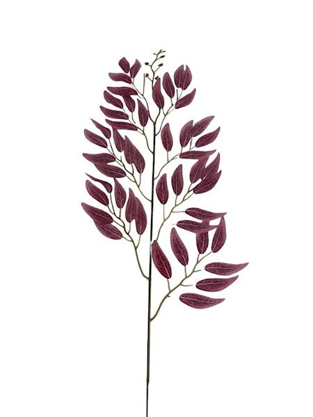 Ruskus gałązka 63 cm bordowy