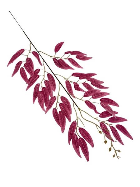 Ruskus gałązka 63 cm jasno bordowy