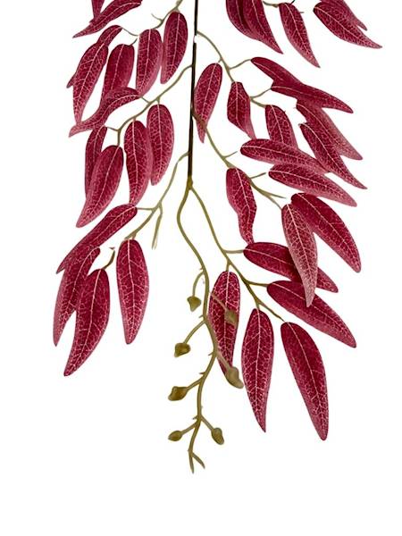 Ruskus gałązka 63 cm jasno bordowy