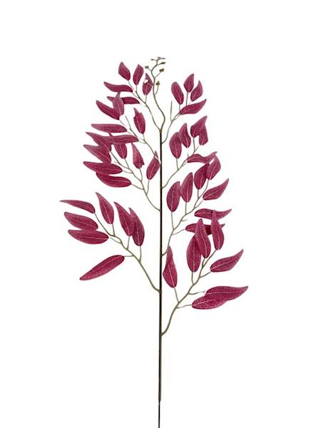 Ruskus gałązka 63 cm jasno bordowy