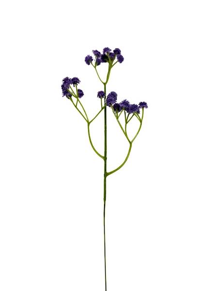 Gipsówka pik 43 cm fiolet