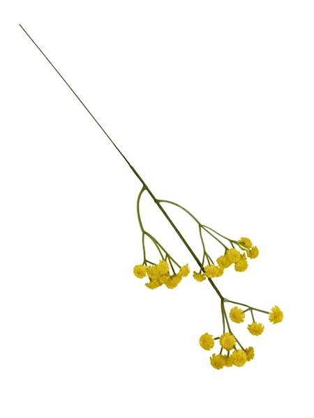 Gipsówka pik 43 cm żółta