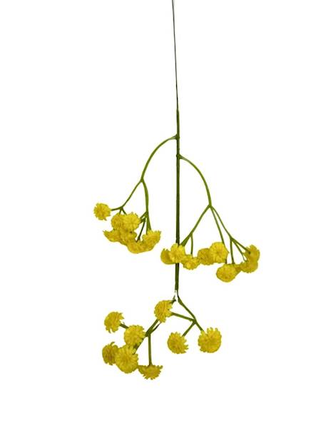 Gipsówka pik 43 cm żółta