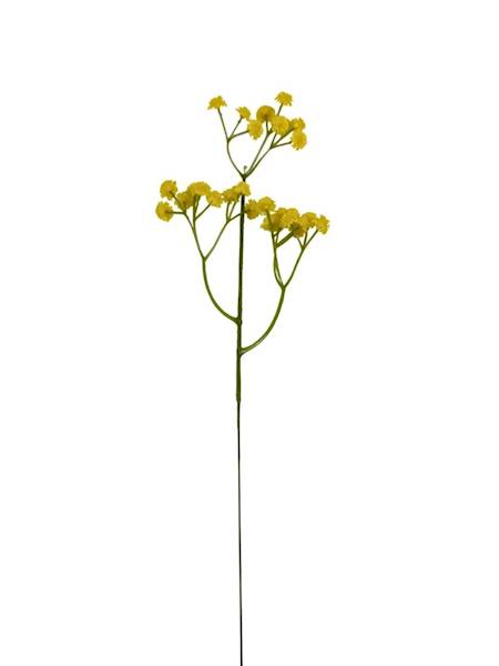 Gipsówka pik 43 cm żółta